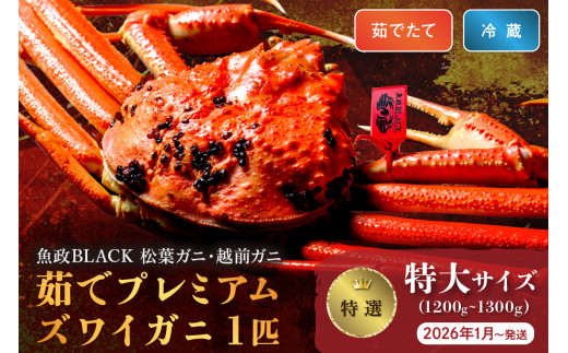 【蟹の匠 魚政】茹で　プレミアムズワイガニ 魚政BLACK（松葉ガニ・越前ガニ）特撰 特大サイズ（1200～1300g） 1匹 (2026年1月～発送)