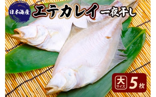 【店主一押し！絶品干物！高リピート！】エテカレイ一夜干し　大サイズ（夕食サイズ）5枚