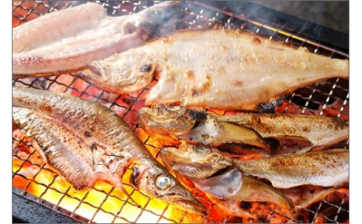 間人港 瞬冷ひもの Cセット（8人用） 平七水産