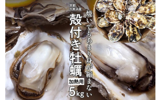 京都・久美浜産　殻付き牡蠣　5kg（50個前後）【加熱用】牡蠣ナイフ付　人気 国産 正規品 大粒 肉厚 養殖牡蠣 牡蠣 牡蛎 かき 海鮮 貝 海のミルク 殻付き
