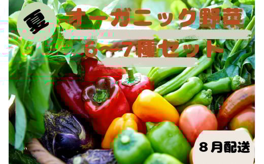 【先行予約：8月配送】＜てんとうむしばたけ＞夏のオーガニック野菜セット　有機野菜6～7種前後