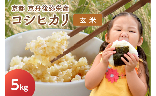 【先行予約】丹後弥栄産コシヒカリ（玄米5kg）コシヒカリ 玄米 おこめ おにぎり 京都産 お米 ふるさと納税 こしひかり