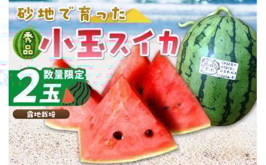 【先行予約／数量限定200】にしまるスイカ 秀品 2玉入り（露地栽培）（2026年7月中旬から発送）