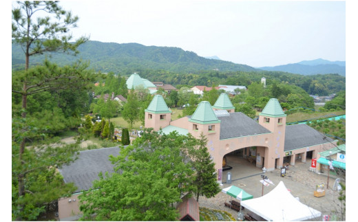 道の駅　丹後王国「食のみやこ」応援感謝券（500円券×6枚）