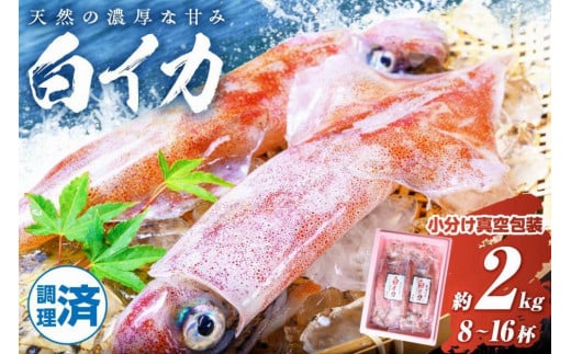 【先行予約】BBQに最適！ 白イカ（ケンサキイカ） 調理済み 正味2kg入り（8～16匹） ※小分け真空包装 海鮮 魚介 烏賊 調理済み バーベキュー 壺焼き 小分け 冷凍 ふるさと納税 イカ ふるさと納税 海鮮BBQ