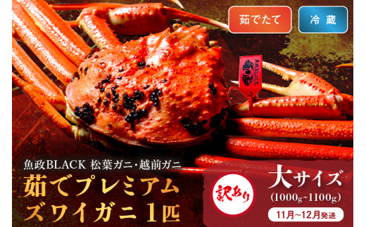 訳あり　【蟹の匠 魚政】茹で　プレミアムズワイガニ 魚政BLACK（松葉ガニ・越前ガニ） 大サイズ（1000～1100g） 1匹(11月～12月発送)