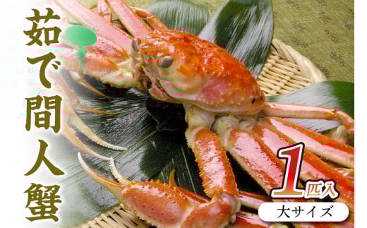 京丹後市産 茹で間人蟹【厳選】大サイズtaizakani900　間人がに 間人ガニ 間人蟹 たいざがに たいざガニ