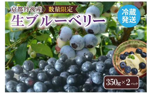 【先行予約／数量限定80】国産 京都丹後ブルーベリー 350g×2パック（2026年7月上旬～発送）