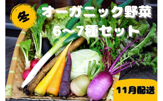【先行予約：11月配送】＜てんとうむしばたけ＞冬のオーガニック野菜セット　有機野菜6～7種前後