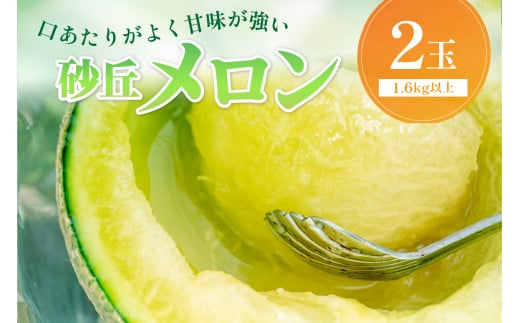 【先行予約／数量限定450】京丹後産 砂丘メロン 大玉2L以上 2玉（2026年7月下旬～発送）