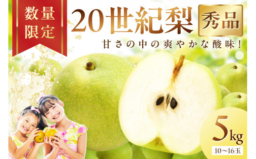 【先行予約／数量限定600】20世紀梨（秀品） 5kg（10～16玉）（2026年8月下旬～発送）