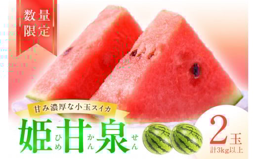 【先行予約／数量限定30】小玉スイカ　姫甘泉2玉(2026年7月中旬～発送)