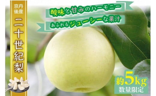 【先行予約／数量限定】京都丹後産 二十世紀梨 5kg（2026年9月上旬～発送）