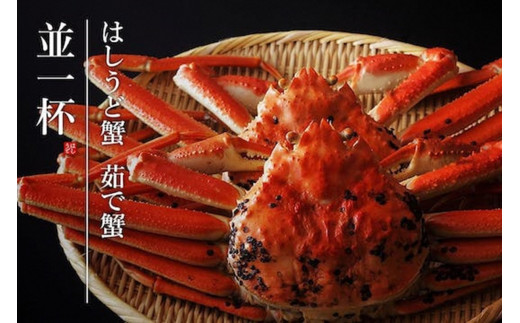 【創業明治元年　間人 炭平旅館の味】はしうど蟹　800g級　茹で蟹　並1杯【2026年発送】