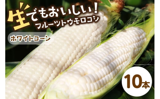 【先行予約】 生食も！高糖度！もぎたて！ フルーツトウモロコシ「ホワイトコーン」（2026年6月下旬～発送）