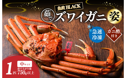 【蟹の匠 魚政】魚政BLACK 茹でズワイガニ〈急速冷凍〉中サイズ 1杯【姿のまま】カニ酢付き