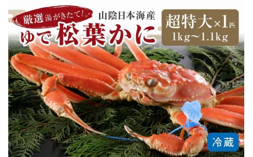 かに卸問屋がお届け・自社釜ゆで！山陰沖ゆで松葉がに 1ｋｇ～1.1ｋｇ 超特大サイズ（1月～3月発送）／北畿水産