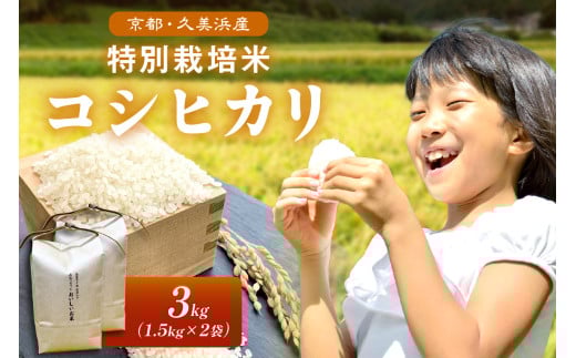 2025年産 京都・久美浜産 特別栽培米コシヒカリ 1.5kg×2袋