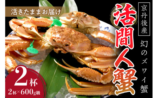 【幻のズワイ蟹】　京丹後産　活間人蟹（中）　鮮度抜群、活きたままお届け！！ 600g級×2杯