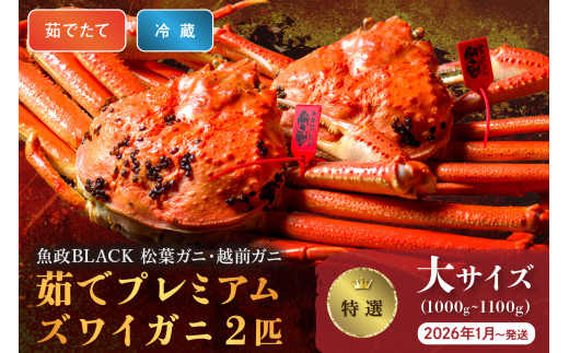 【蟹の匠 魚政】茹で　プレミアムズワイガニ 魚政BLACK（松葉ガニ・越前ガニ）特撰 大サイズ（1000～1100g） 2匹セット　 (2026年1月～発送)