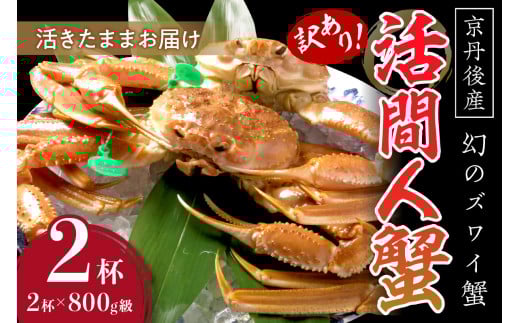 【訳あり！！幻のズワイ蟹】　京丹後産　活間人蟹　鮮度抜群、活きたままお届け！！ 800g級（足1本落ち）×2杯