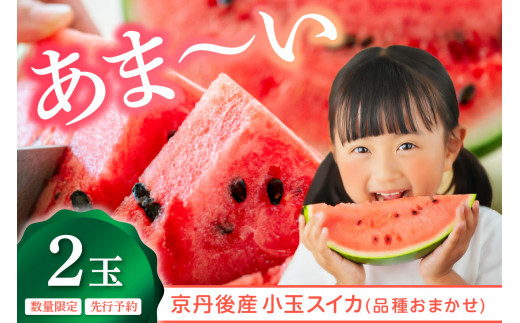【先行予約】朝どれ小玉スイカ／みんな大好き！甘～ぃ！シャリ美味！！京丹後産 小玉スイカ！！2玉（ひとりじめ、姫甘泉、ひめまくら、砂丘たまごから1種類）（2026年7月上旬～発送）スイカ2玉