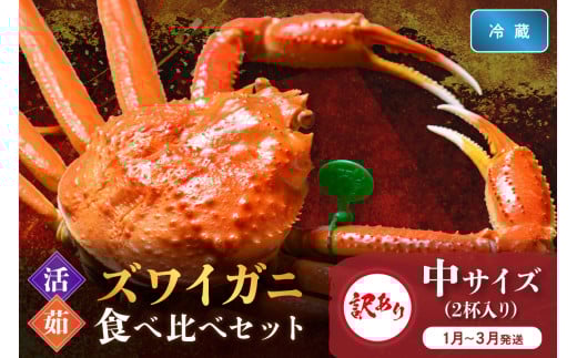 訳あり【蟹の匠 魚政】京丹後産 ズワイガニ 食べ比べセット〈活×茹〉中サイズ2杯入り　（2026年1月～3月発送）