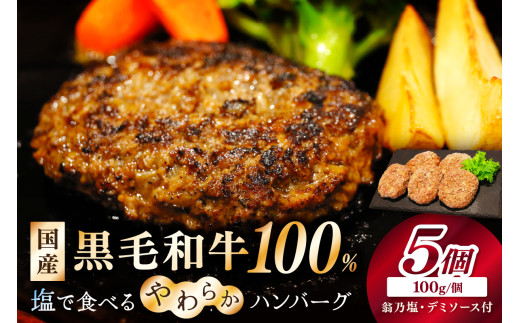 塩で食べるやわらかハンバーグ（デミグラスソース付）