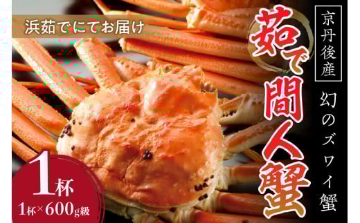 【幻のズワイ蟹】　　京丹後産　茹で間人蟹(中）　鮮度抜群、浜茹でにてお届け！！ 600g級×1杯