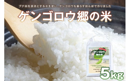 【先行予約】龍谷大学と共同開発／2025年産　京丹後産生物多様性米コシヒカリ「ゲンゴロウ郷の米」5kg箱入