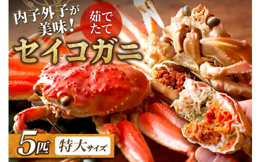 【蟹の匠 魚政】内子外子が美味! 茹でたて セイコガニ（セコ蟹）（香箱ガニ）（こっぺ）特大サイズ 5匹セット
