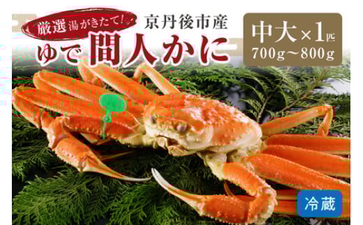 かに卸問屋がお届け・自社釜ゆで！幻のゆで間人ガニ 700ｇ～800ｇ 中大サイズ （1月～3月発送）／北畿水産
