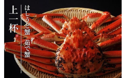 【創業明治元年　間人 炭平旅館の味】はしうど蟹　1000g級　茹で蟹　上1杯　【2026年発送】