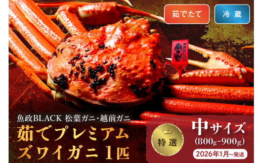 【蟹の匠 魚政】茹で　プレミアムズワイガニ 魚政BLACK（松葉ガニ・越前ガニ）特撰 中サイズ（800～900g） 1匹 (2026年1月～発送)