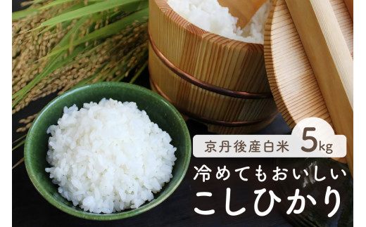 令和7年産　京都・京丹後産コシヒカリ　5?（5kg×1袋）