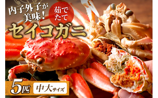 【蟹の匠 魚政】内子外子が美味! 茹でたて セイコガニ（セコ蟹）（香箱ガニ）（こっぺ）中大サイズ 5匹セット