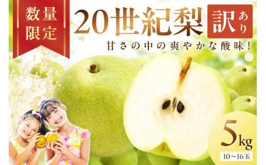 【先行予約／数量限定700】20世紀梨（訳あり） 5kg（10～16玉）（2026年8月下旬～発送）