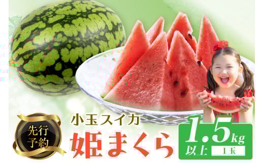 【先行予約】小玉スイカ 姫まくら 1玉（1.5kg以上）（2026年7月上旬～発送） 果物 くだもの すいか スイカ 西瓜 甘い ふるさと納税 スイカ ふるさと納税 フルーツ ふるーつ 農家直送 果樹園直送 生産者応援 農家応援