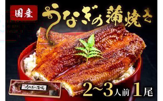 うなぎの蒲焼き2~3人前(1尾)