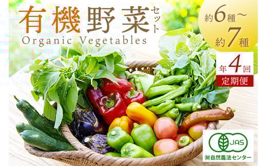 【年4回定期便】＜てんとうむしばたけ＞オーガニック野菜セット　有機野菜6～7種(2人用)