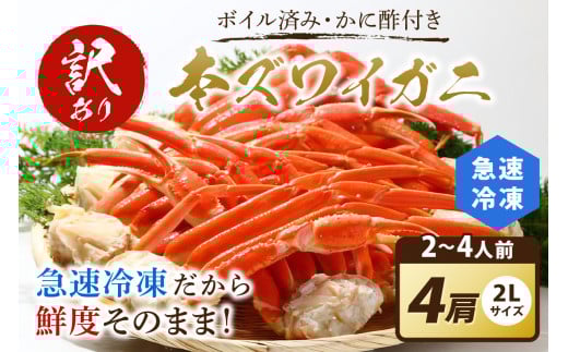 【訳あり！カニ酢付き】急速冷凍 ボイル済み 本ズワイガニ 2Lサイズ4肩