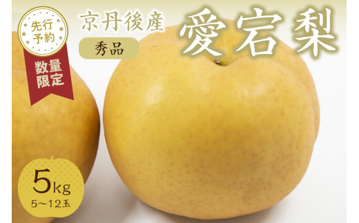 【先行予約／数量限定50】【訳あり】新興梨 優品 3kg（5～9玉入り）（2026年10月上旬～発送）