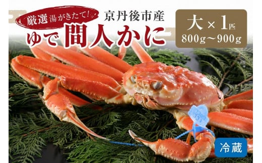 かに卸問屋がお届け・自社釜ゆで！幻のゆで間人ガニ 800ｇ～900ｇ 大サイズ（11月発送）北畿水産