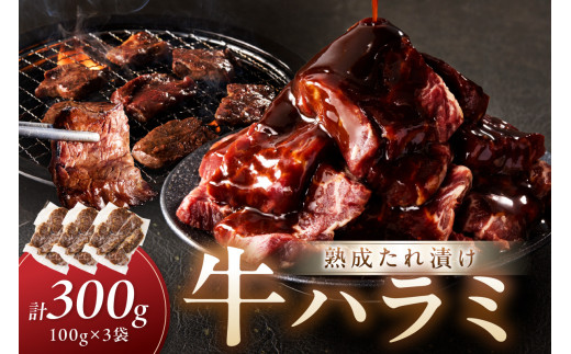 たれ漬けハラミ 1パック100ｇ×3袋