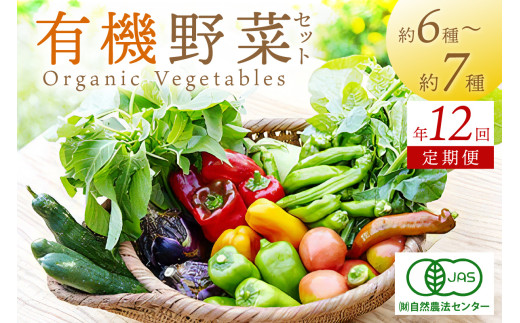 【年12回定期便】＜てんとうむしばたけ＞オーガニック野菜セット　有機野菜6～7種(2人用)