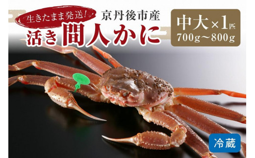 かに卸し問屋がお届け・浜競り厳選！幻の活間人ガニ 700ｇ～800ｇ 中大サイズ（11月発送）／北畿水産