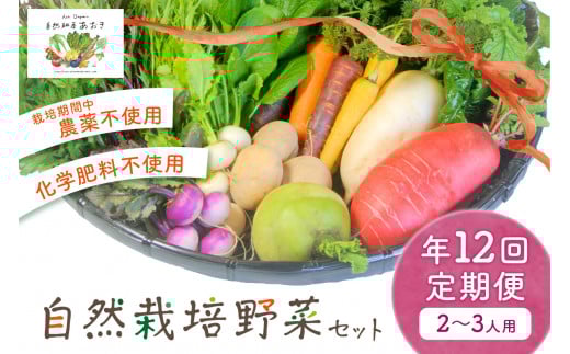 自然栽培野菜セット（年12回）2~3人用　定期便　月1回×12ヵ月