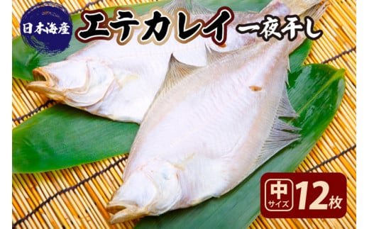 【店主一押し！絶品干物！高リピート！】エテカレイ一夜干し　中サイズ（朝食サイズ）12枚