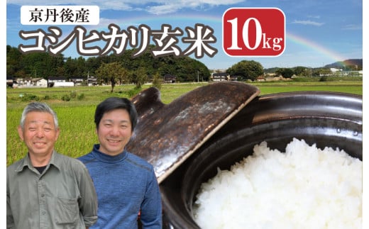 2026年産 丹後弥栄産コシヒカリ（玄米10kg） ふるさと納税 お米 米 玄米 コシヒカリ 農家直送 丹後こしひかり ふるさと納税 玄米