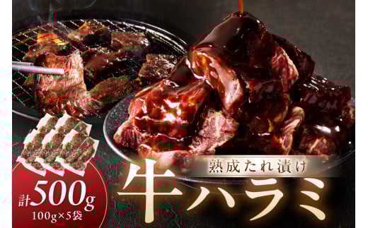 たれ漬けハラミ 1パック100ｇ×5袋